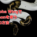 Conoha WingでPythonを使う方法。